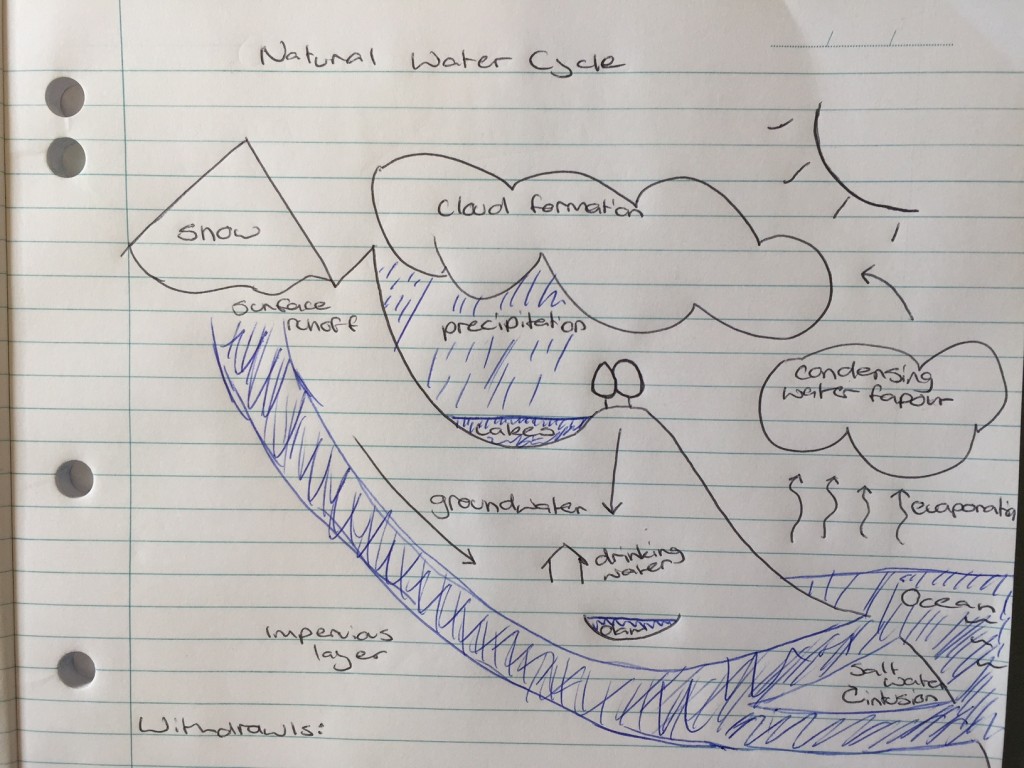 How to draw a water cycle easy step by step, Water cycle diagram drawing  for beginners | Cycle drawing, Drawing for beginners, Water cycle diagram